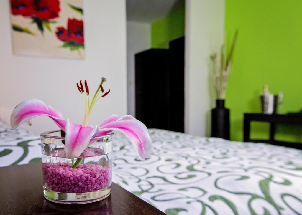 Bona Serva Prag Zimmer foto